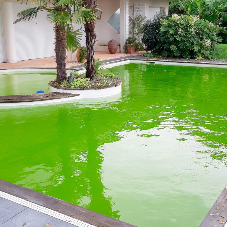 Pisciniste, Entretien Piscine, Nettoyage Piscine